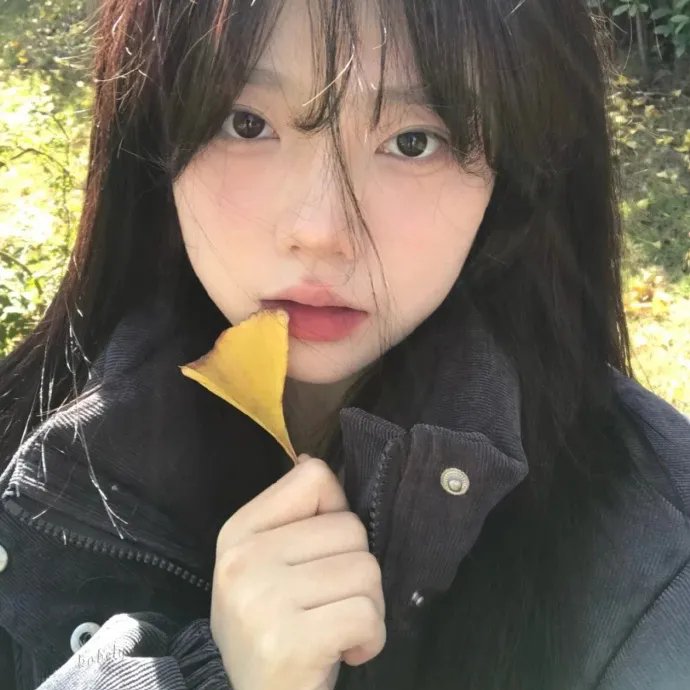 唯美貌不可辜负第二季